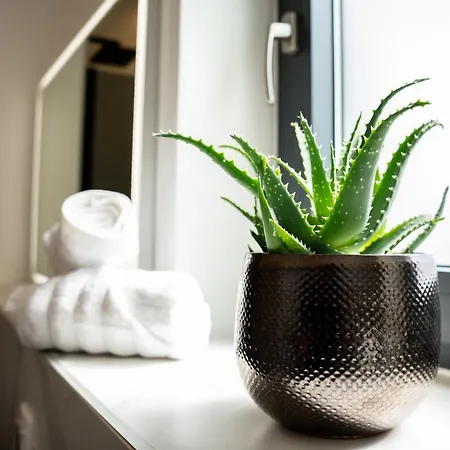 Istra Relax Smaragd Rebici