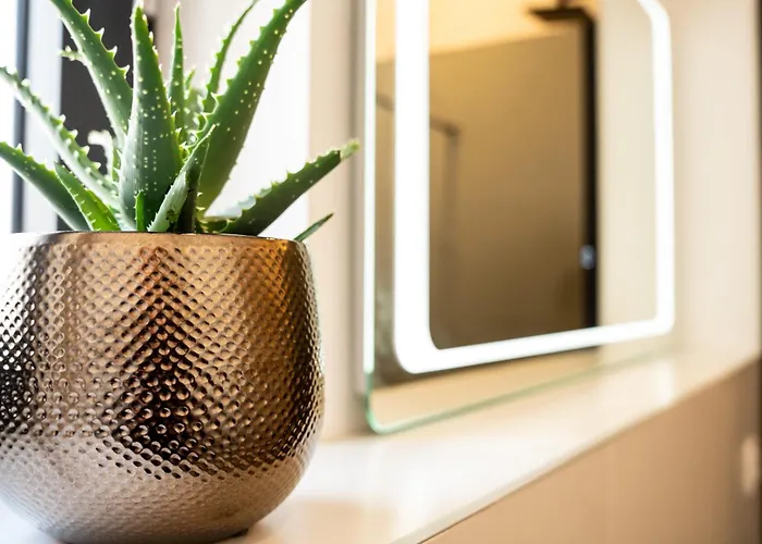 Istra Relax Smaragd Rebici