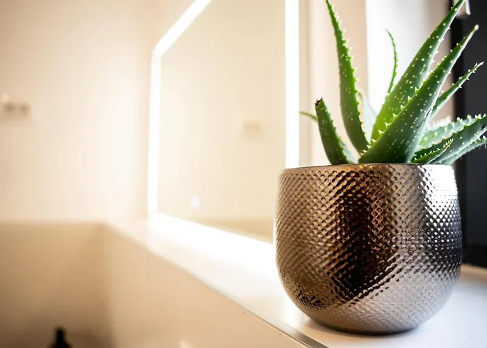 Istra Relax Smaragd Villa *